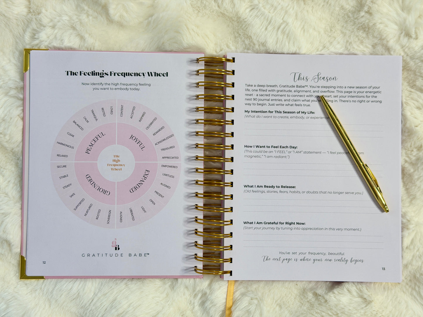 Open spiral-bound book with a feelings frequency wheel and pen on a textured surface