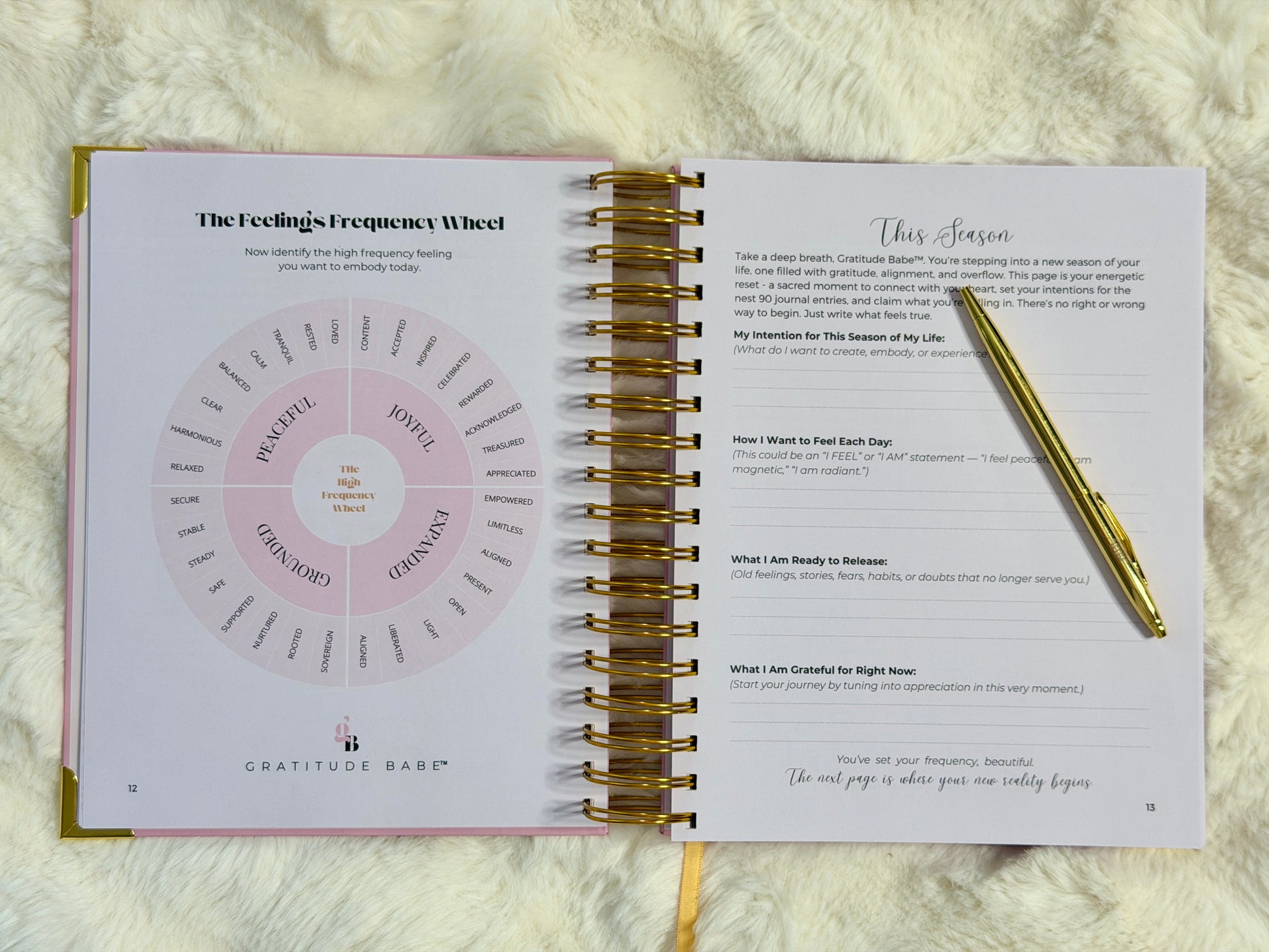 Open spiral-bound book with a feelings frequency wheel and pen on a textured surface