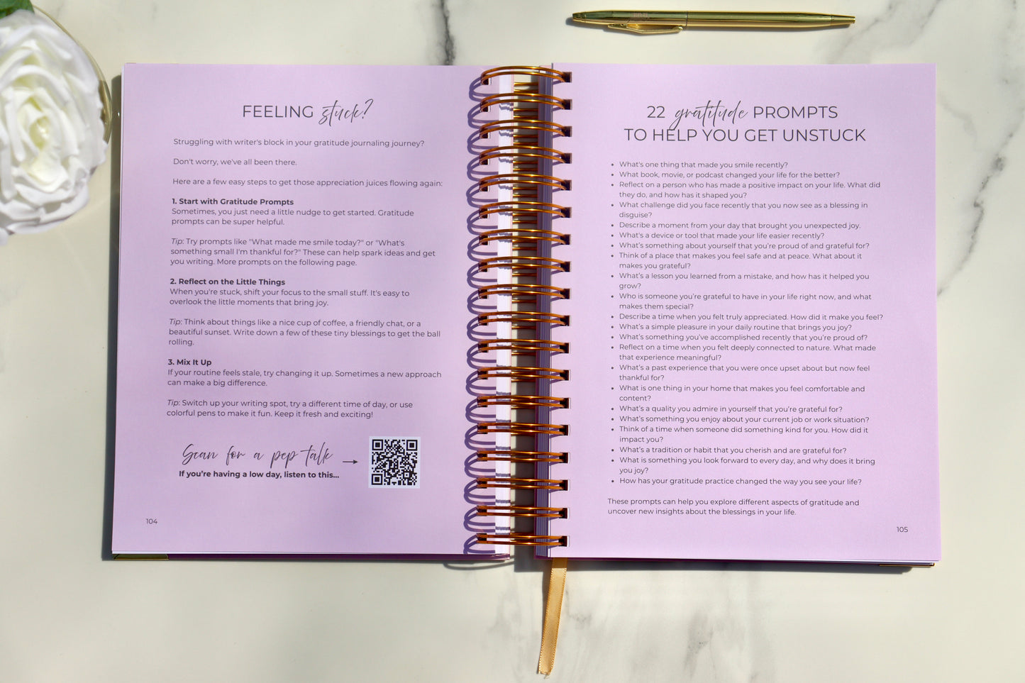 Gratitude is Yummy™ Journal - The Physical Edition (Bundle of 2)