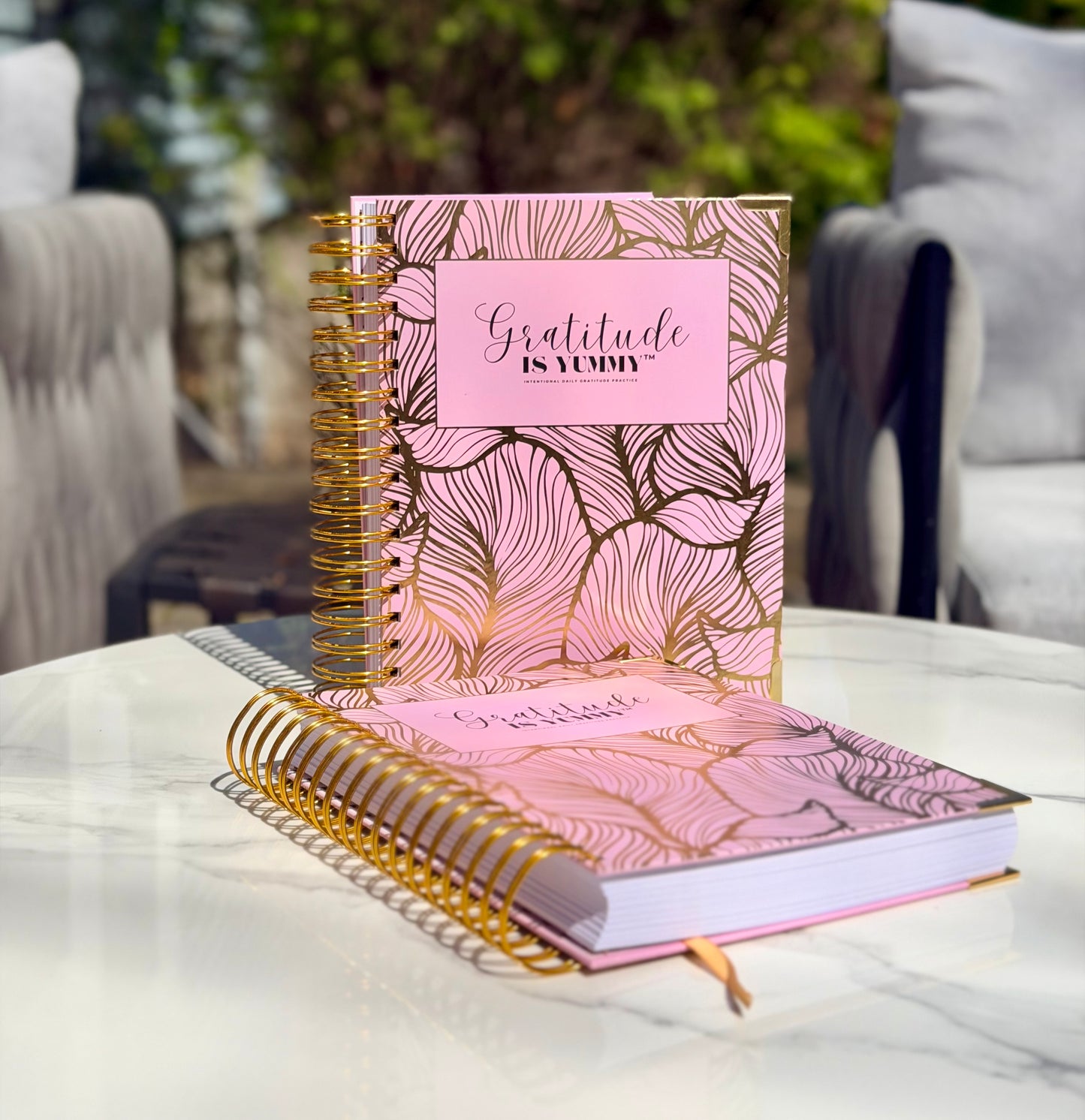 Gratitude is Yummy™ Journal - The Physical Edition (Bundle of 2)